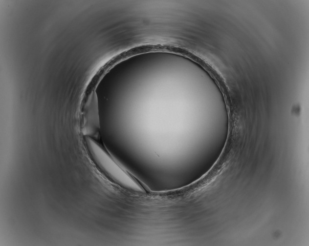 X0000098150927200805011404