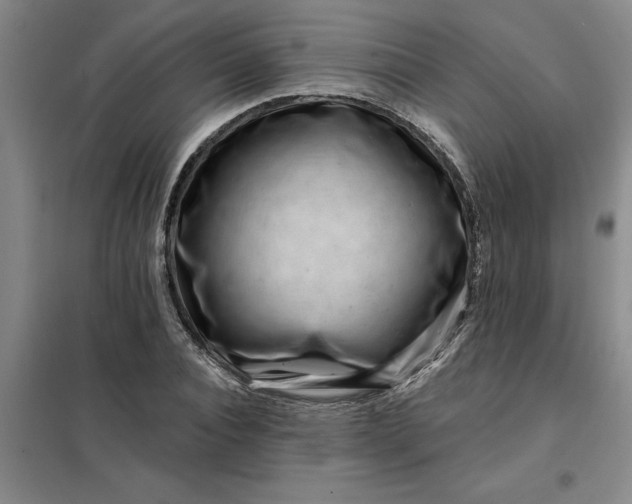 X0000098150928200805011404