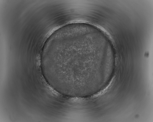 X0000098150929200805011404