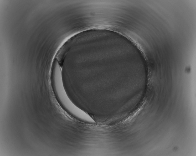 X0000098150932200805011404