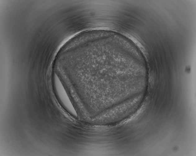 X0000098150933200805011404