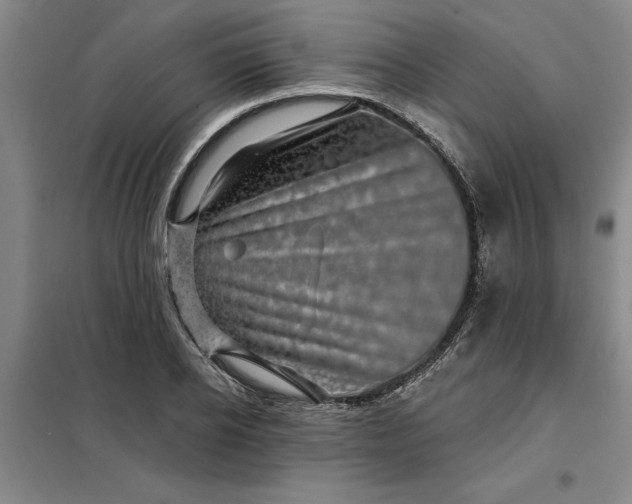 X0000098150934200805011404