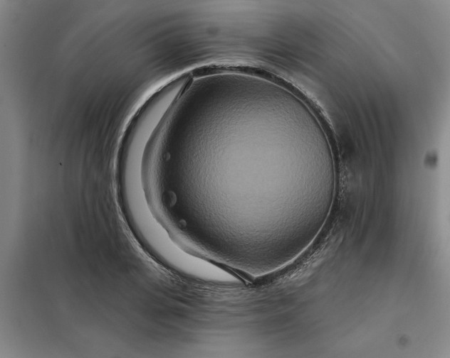 X0000098150935200805011404