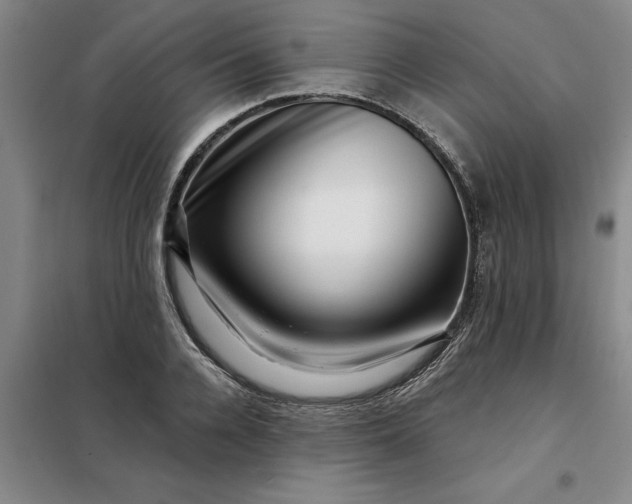 X0000098150936200805011404
