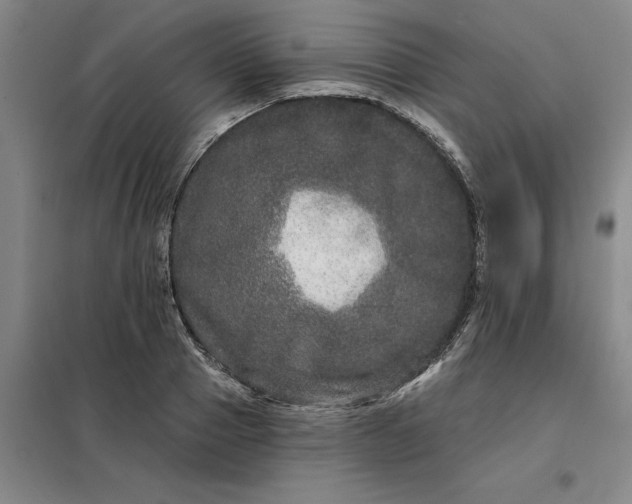 X0000098150937200805011404