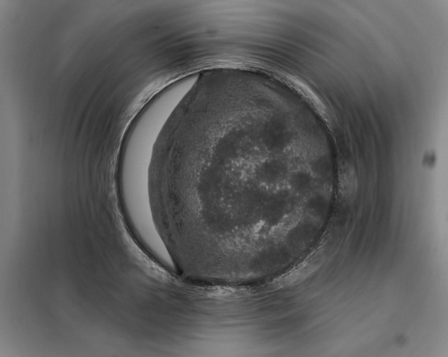 X0000098150938200805011404