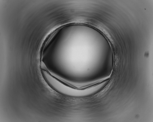 X0000098150939200805011404