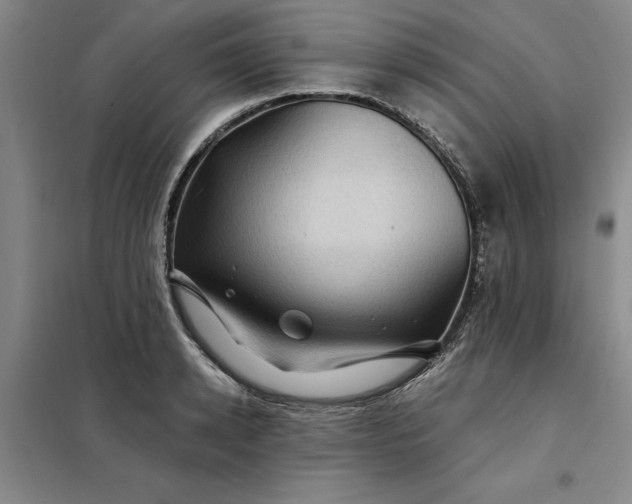 X0000098150942200805011404
