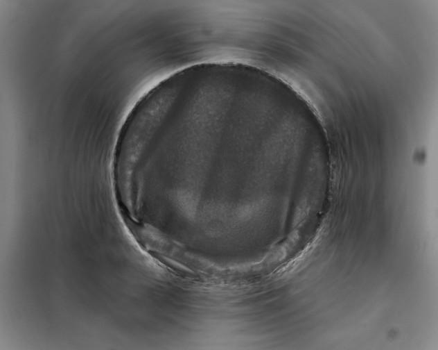 X0000098150943200805011404