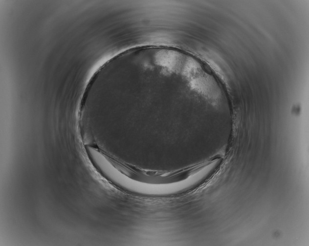 X0000098150944200805011404