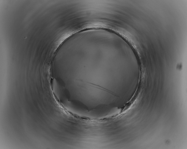 X0000098150945200805011404