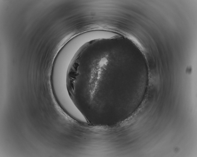 X0000098150946200805011404