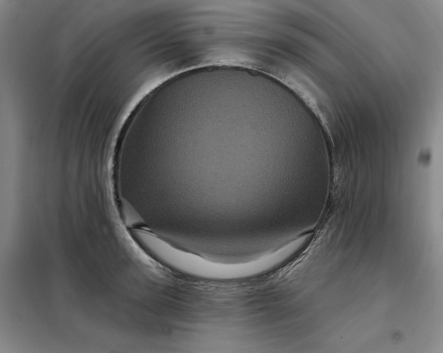 X0000098150947200805011404