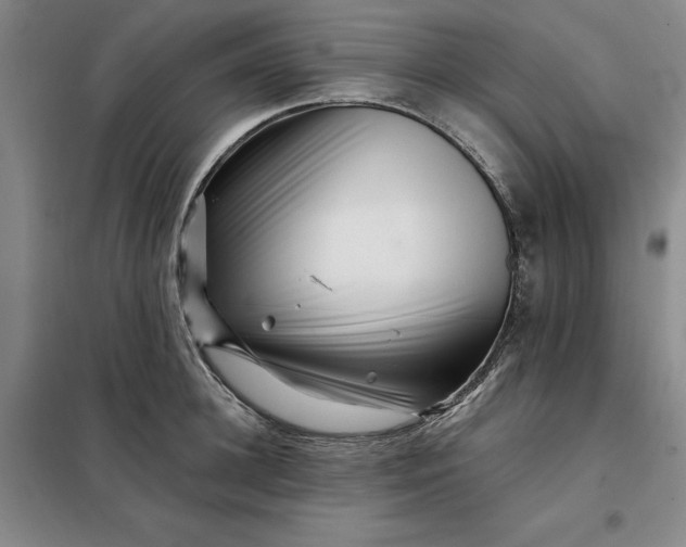 X0000098150948200805011404