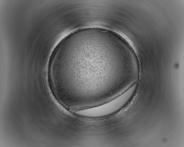 X0000098150949200805011404