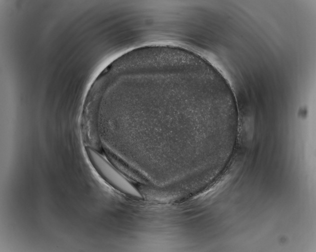 X0000098150951200805011404