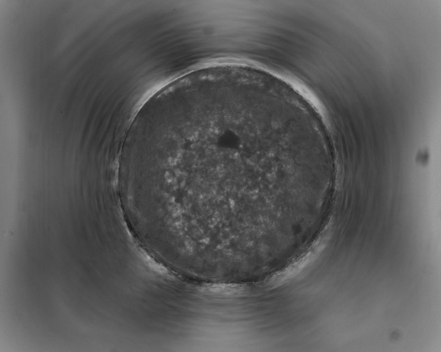 X0000098150953200805011404