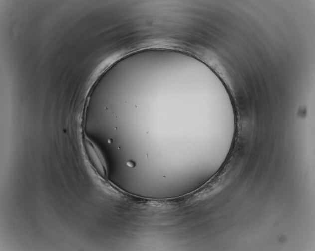 X0000098150954200805011404