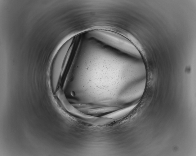 X0000098150955200805011404