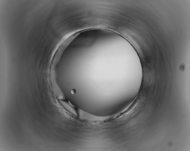 X0000098150956200805011404