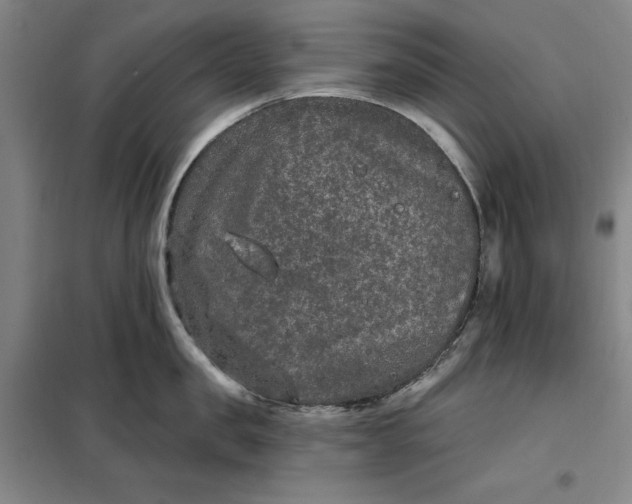 X0000098150957200805011404