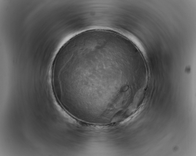 X0000098150958200805011404