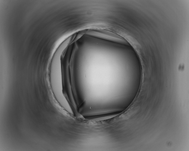 X0000098150960200805011404