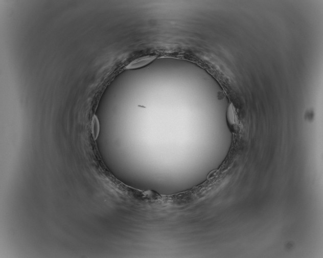X0000098150961200805011404