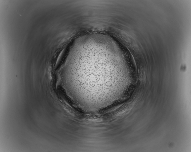 X0000098150962200805011404