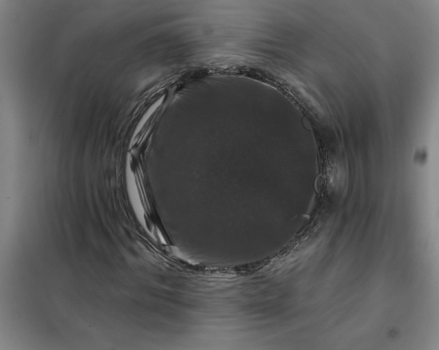 X0000098150964200805011404