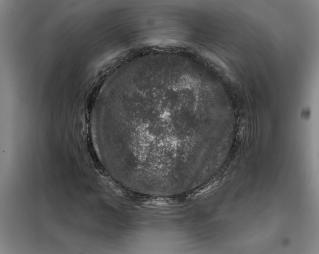 X0000098150966200805011404