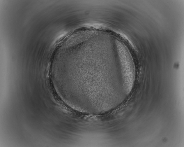 X0000098150967200805011404