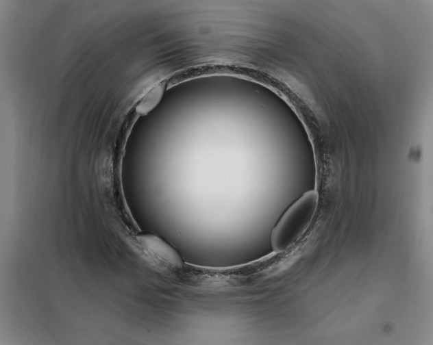 X0000098150969200805011404