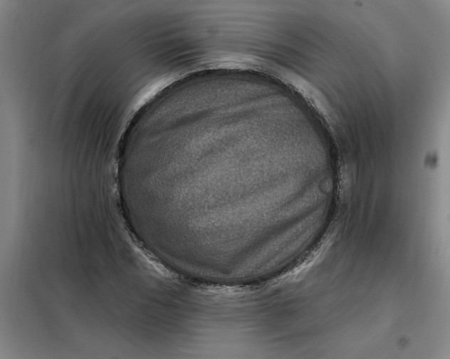 X0000098150970200805011404