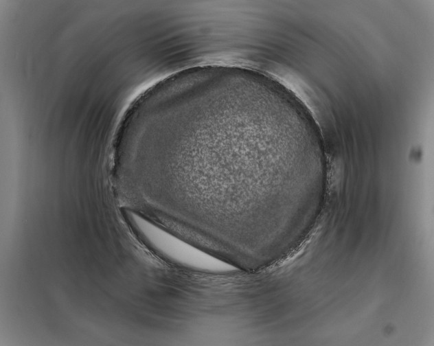 X0000098150971200805011404