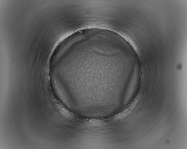 X0000098150974200805011403