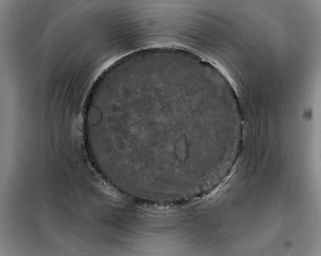 X0000098150975200805011403