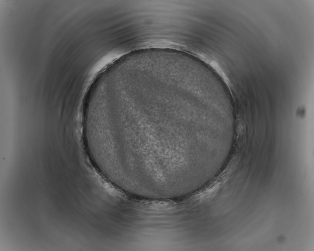 X0000098150979200805011403