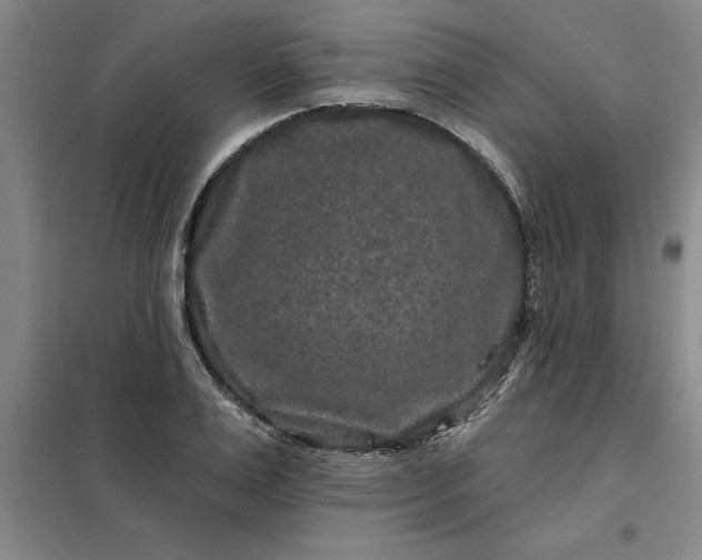 X0000098150983200805011403