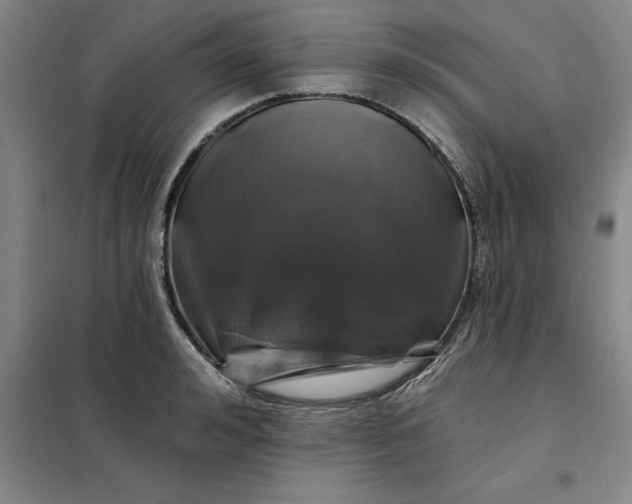 X0000098150992200805011403