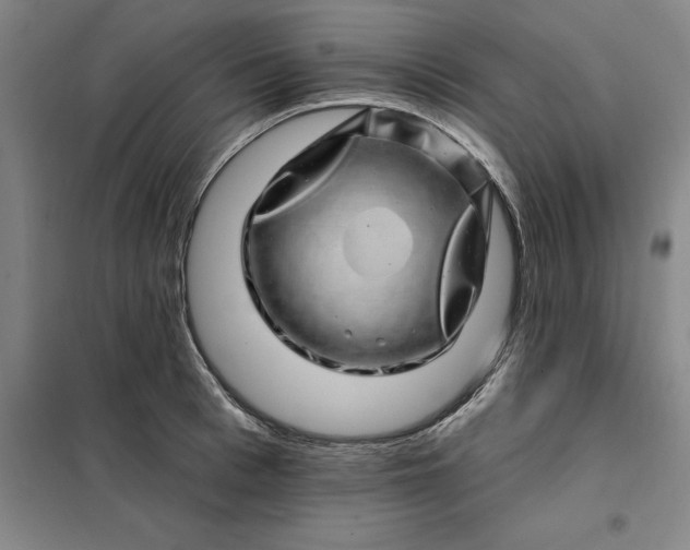 X0000098150993200805011403