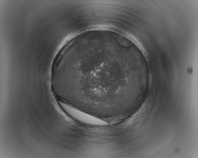 X0000098150994200805011403