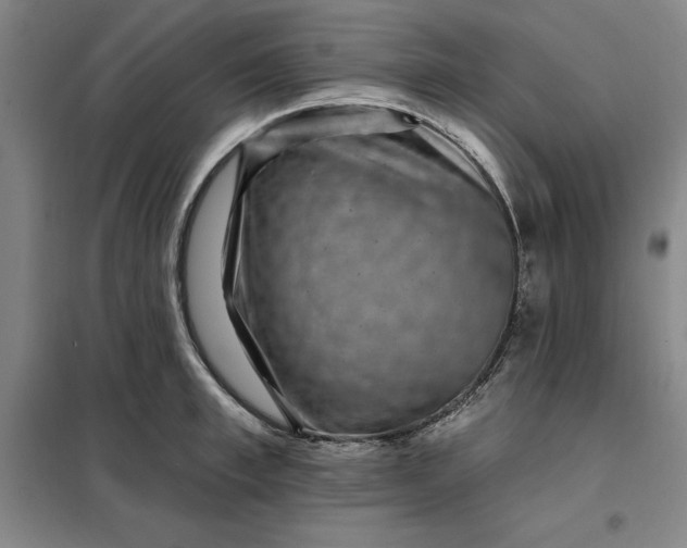 X0000098150997200805011403