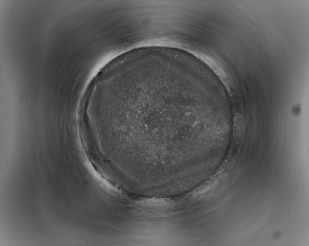 X0000098150998200805011403