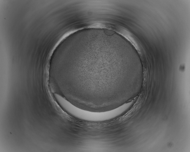 X0000098151000200805011403