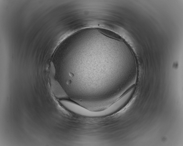 X0000098151001200805011403