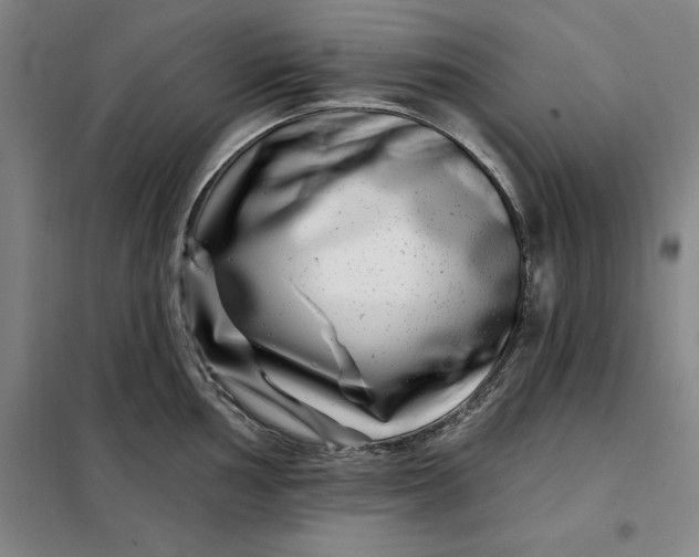 X0000098151002200805011403