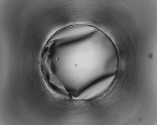X0000098151006200805011403