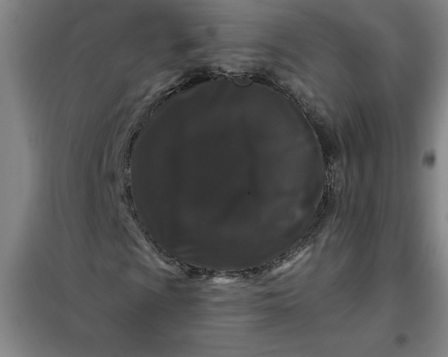 X0000098151009200805011402