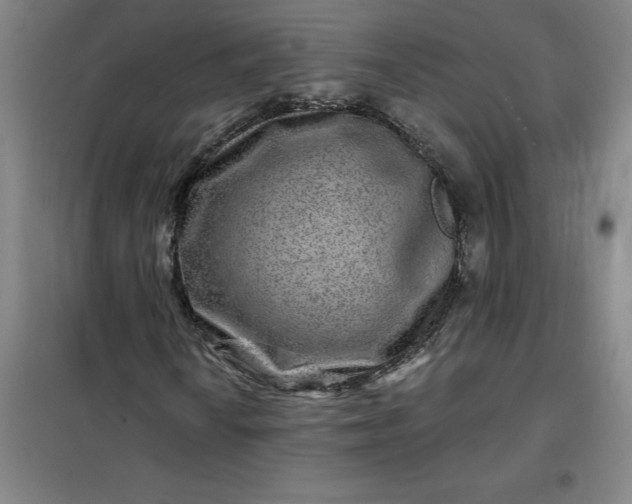 X0000098151010200805011402